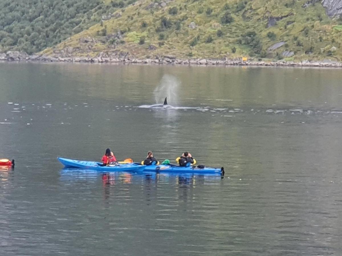 Reinefjord Panorama Villa Moskenes Luaran gambar