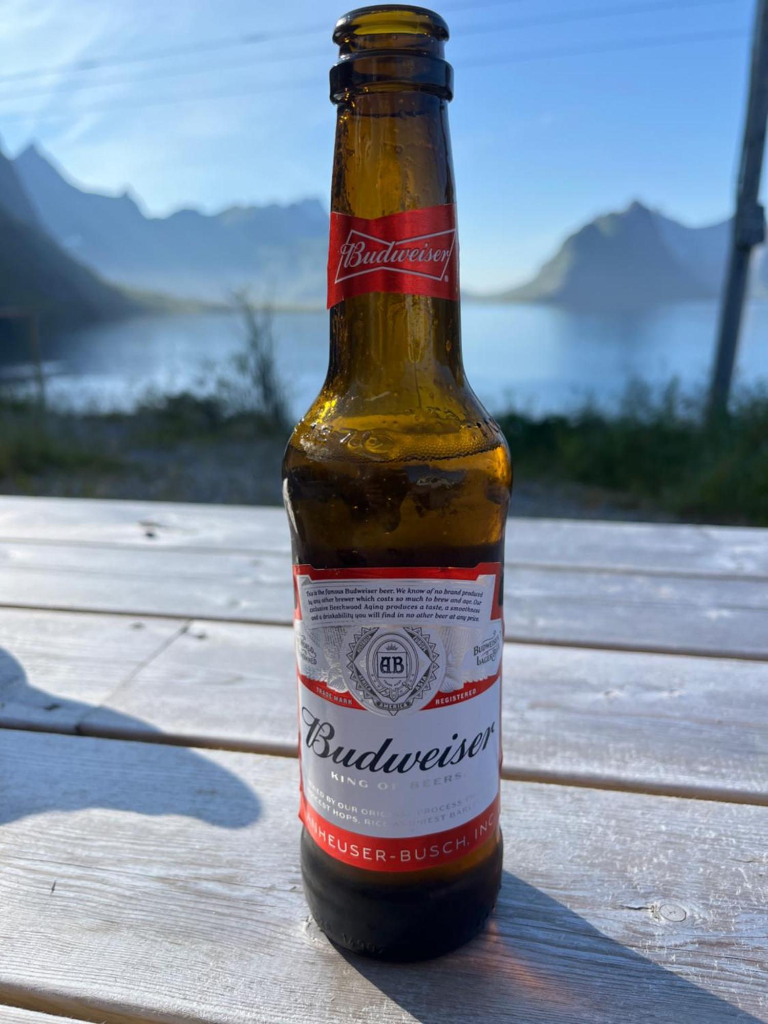 Reinefjord Panorama Villa Moskenes Luaran gambar